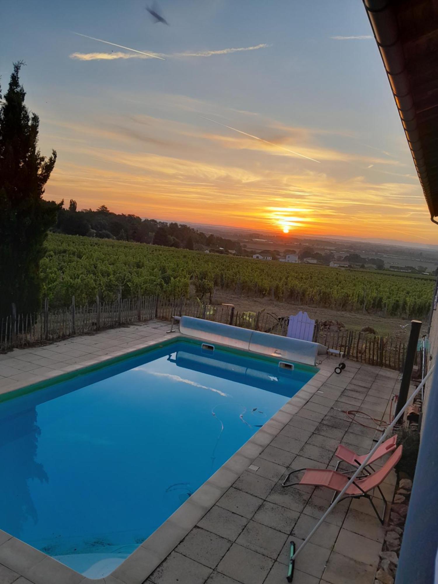 La Cote Des Blancs - Domaine Viticole & Maison D'Hotes Vinzelles Extérieur photo