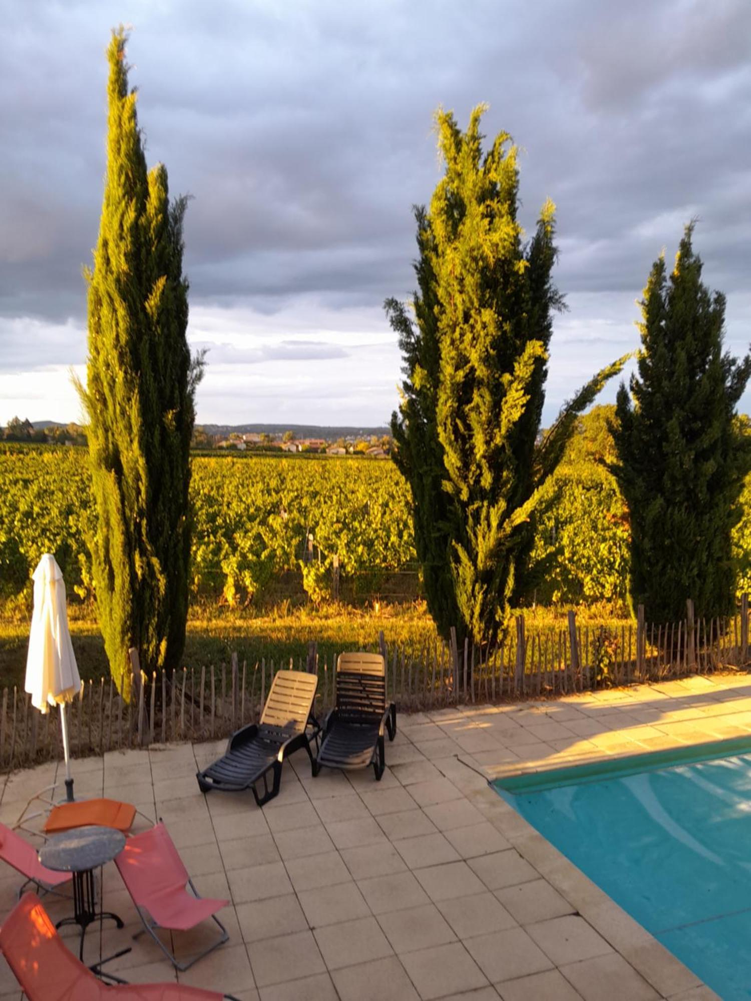 La Cote Des Blancs - Domaine Viticole & Maison D'Hotes Vinzelles Extérieur photo