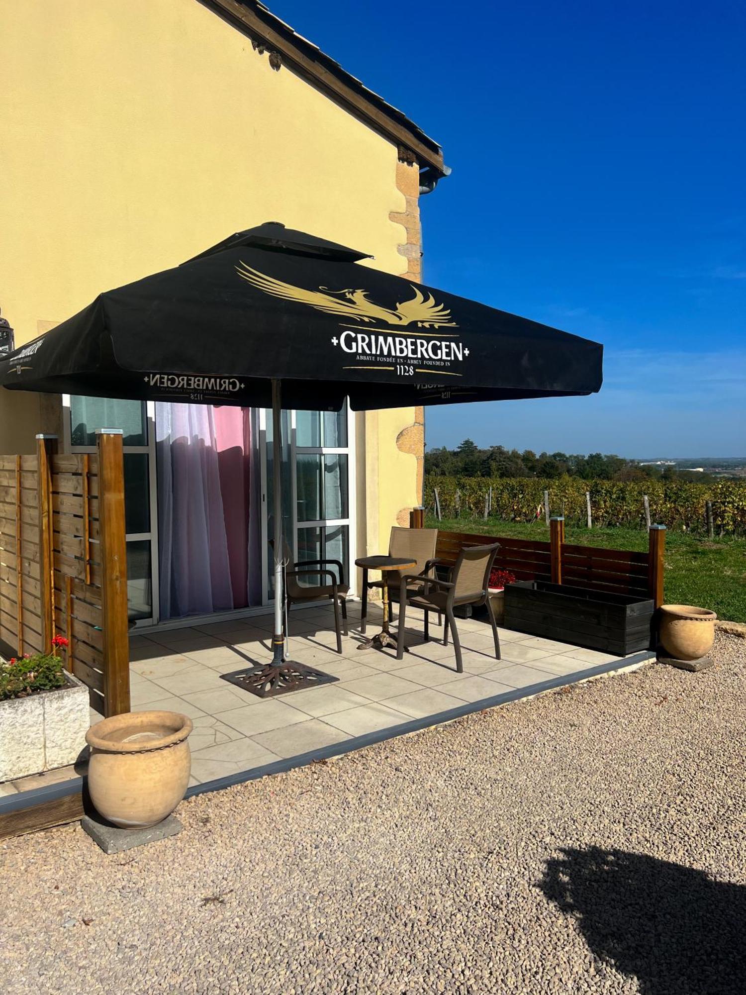 La Cote Des Blancs - Domaine Viticole & Maison D'Hotes Vinzelles Extérieur photo